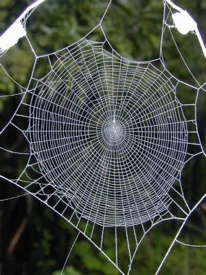 リンクスパイダー：デジタル時代の糸を紡ぐ存在